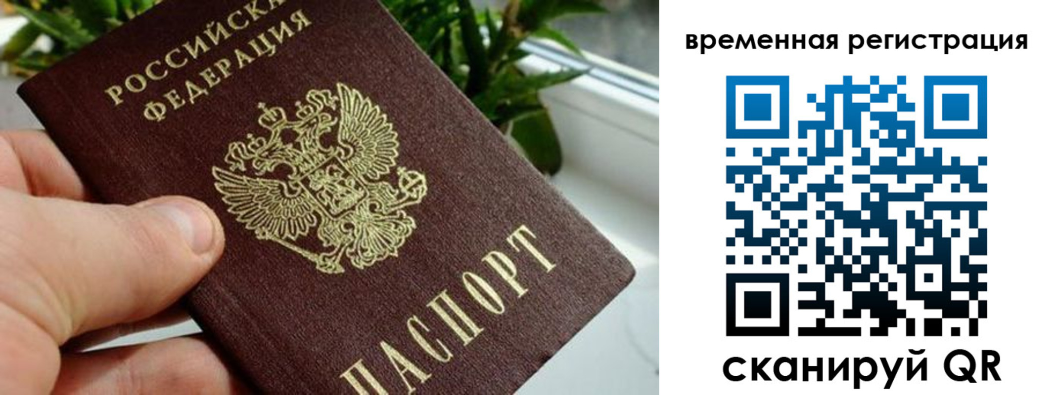 прописка поиск в Томской области